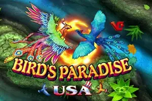 Bird Paradise